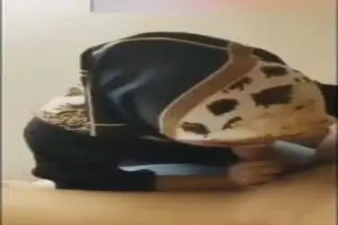 Gadis Cantik Pasrah Goyang Kasur Ruang Tamu